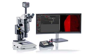 THUNDER Imager Model Organism